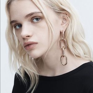 Brand new Alexander Wang Ear Ring